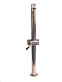 T19